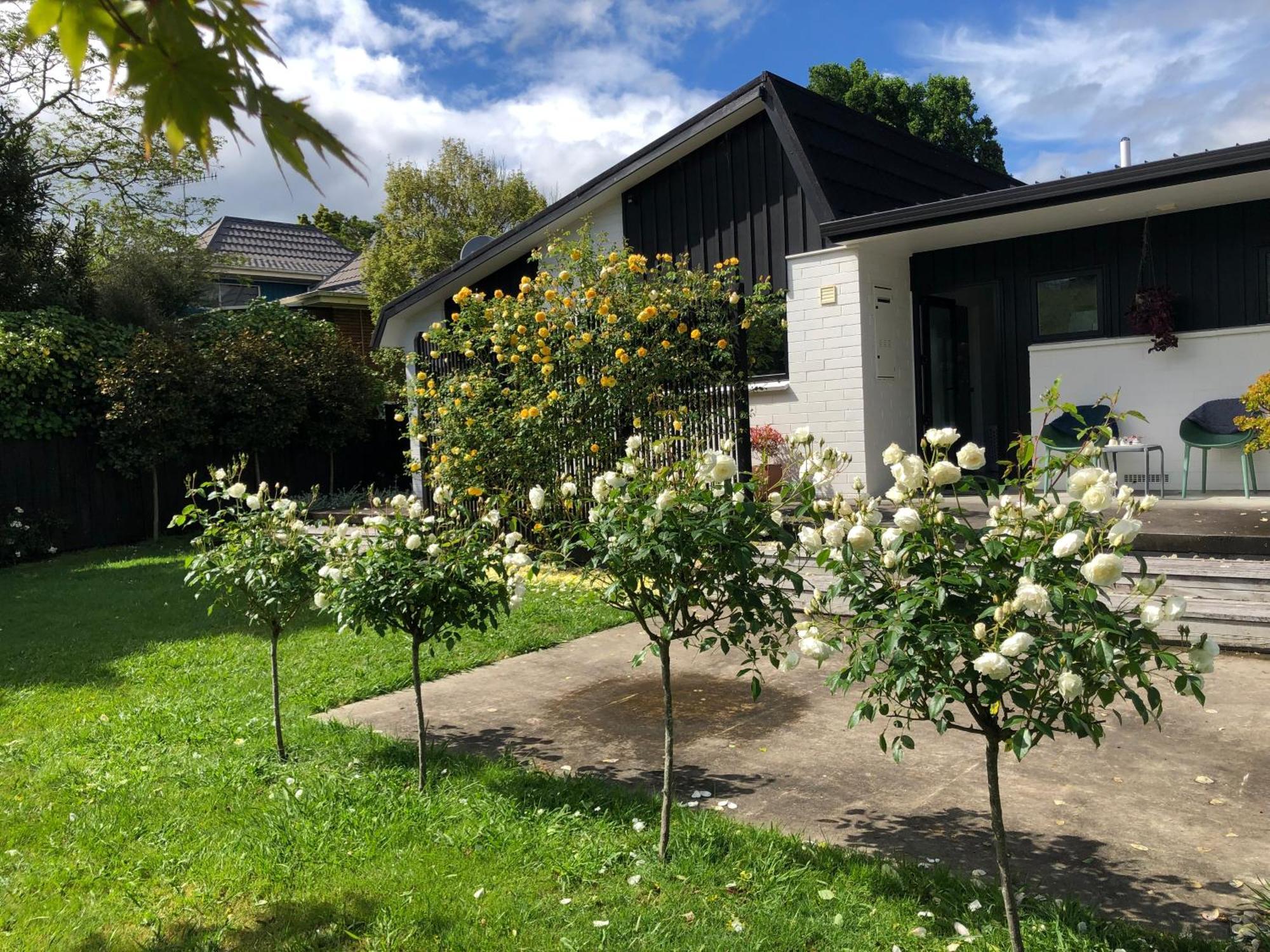 Fashion,Bright And Spacious,Superior Location Hamilton Eksteriør bilde